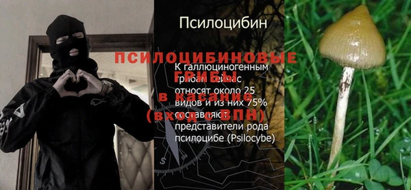 экстази Богородицк